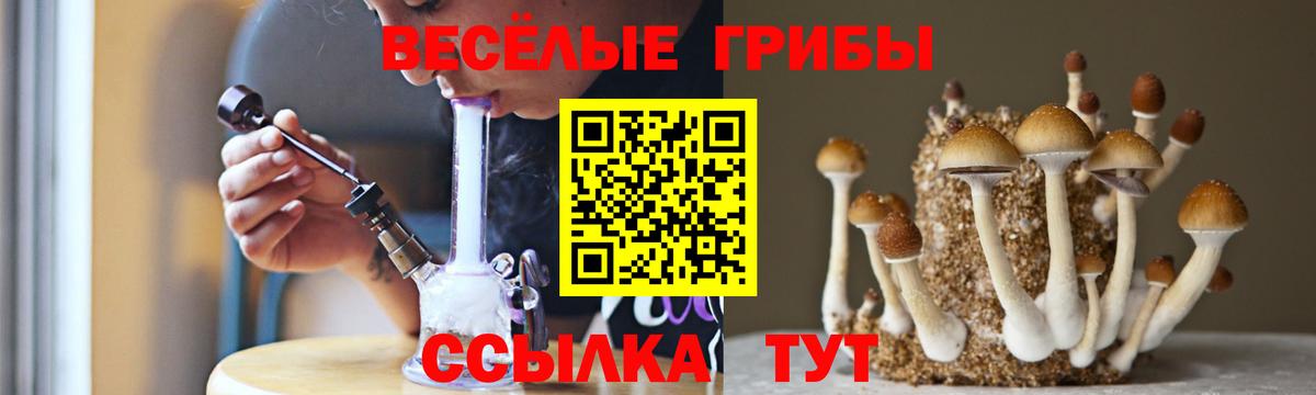 Псилоцибиновые грибы Cubensis Кинель